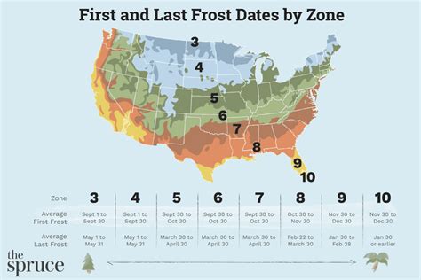 frost free days by zip code|zone 5b last frost date.